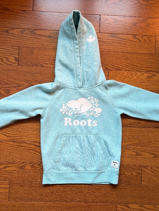 Roots Other - Roots Kids Metallic Shimmer Beaver Logo Hoodie - Aqua Blue / Mint - Size S (5-6)